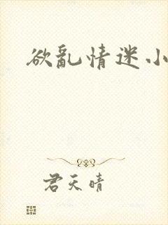 欲乱情迷小说