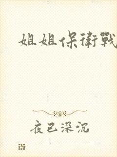姐姐保卫战封面