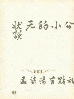 状元的小公主小说封面