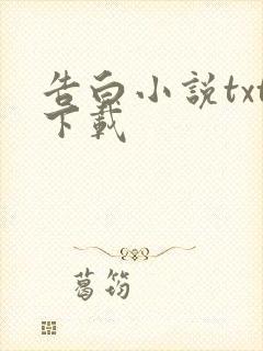 告白小说txt下载