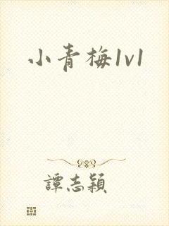 小青梅1v1