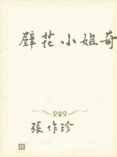 壁花小姐奇遇记封面
