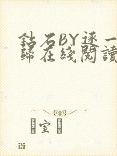 钻石BY逐一而归在线阅读