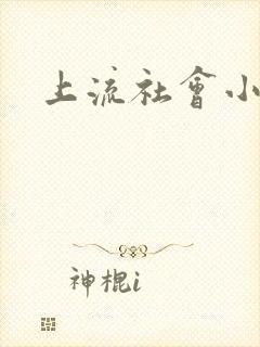 上流社会小说