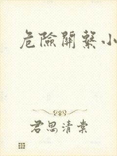 危险关系小说封面