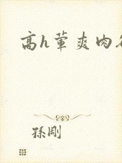 高h荤爽肉欲文