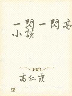一闪一闪亮星星小说