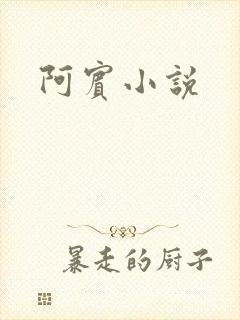 阿宾小说