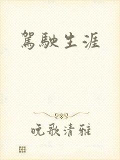 驾驶生涯封面
