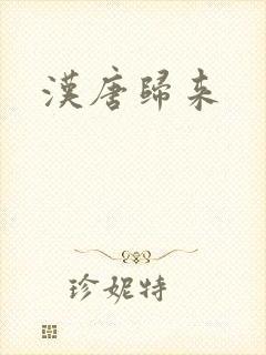 汉唐归来
