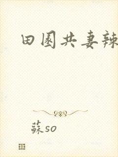 田园共妻辣