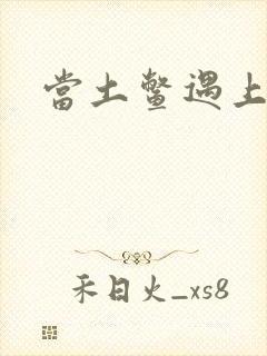 当土鳖遇上海龟