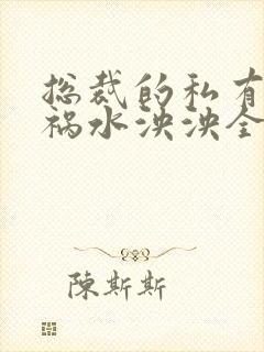 总裁的私有宝贝祸水泱泱全文阅读封面