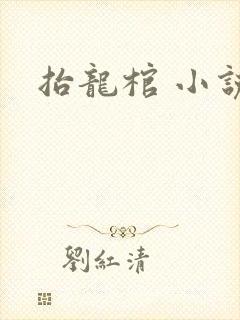 抬龙棺 小说封面