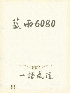 蓝雨6080封面