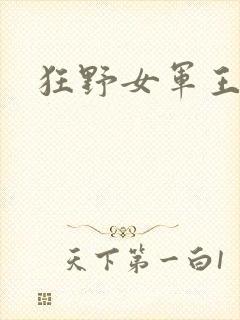 狂野女军王封面