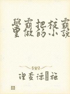 学霸把校霸往死里做的小说