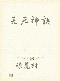 天元神诀封面