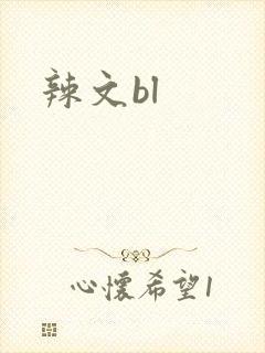 辣文bl封面