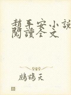 赵平安小说免费阅读全文封面