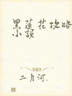 黑莲花攻略手册小说