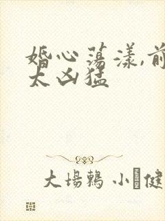 婚心荡漾,前夫太凶猛