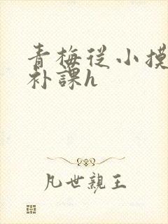 青梅从小摸到大补课h