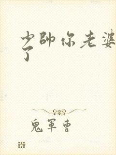 少帅你老婆又跑了