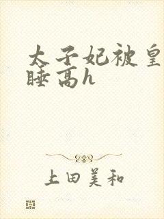 太子妃被皇上强睡高h封面