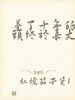 养了十年的小丫头终于长大了