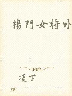 杨门女将外传封面