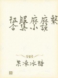 征服麻麻系列大合集小说