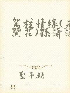 驾校情缘(老树开花)孙潇潇笔趣阁