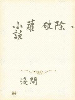 小萝 破除 小说封面