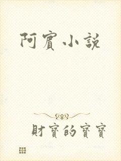阿宾小说