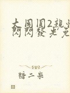 大团圆2亲情会闪闪发光免费