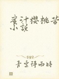 蜜汁樱桃苦咖啡小说