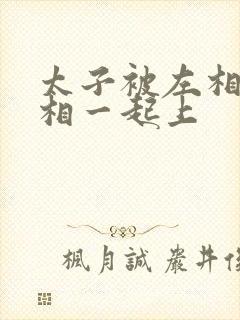 太子被左相和右相一起上