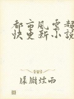 都市风云超前超快更新小说