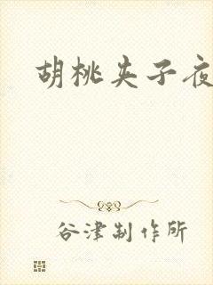 胡桃夹子夜未眠