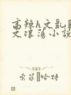 高辣h文乱乳h文浪荡小说苏柔封面