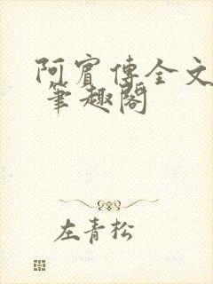 阿宾传全文阅读 笔趣阁