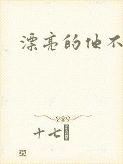 漂亮的他不说话封面
