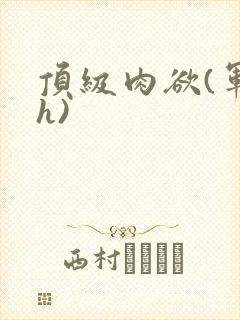 顶级肉欲(军高h)