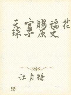 天官赐福花怜塞珠子原文封面