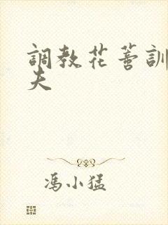 调教花蒂训诫从夫