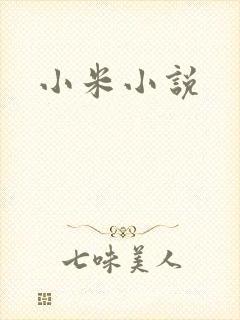 小米小说