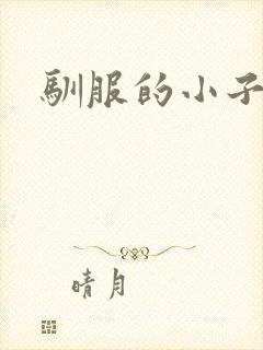 驯服的小子4封面