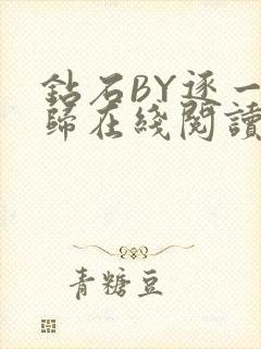 钻石BY逐一而归在线阅读