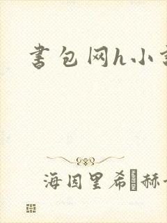 书包网h小说